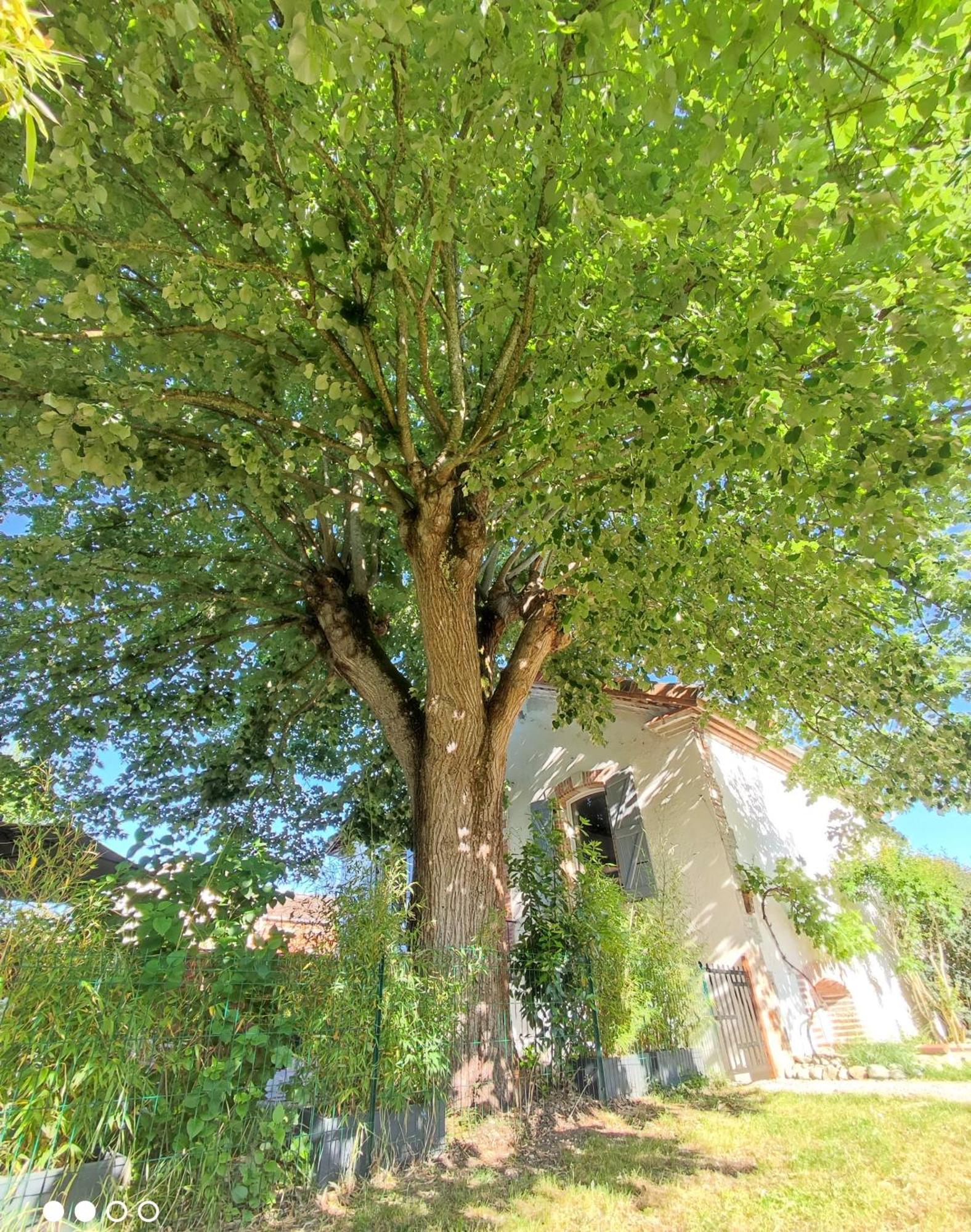 Villa Garona Avec Billard Proche Pyrenees Cazeres Exterior foto